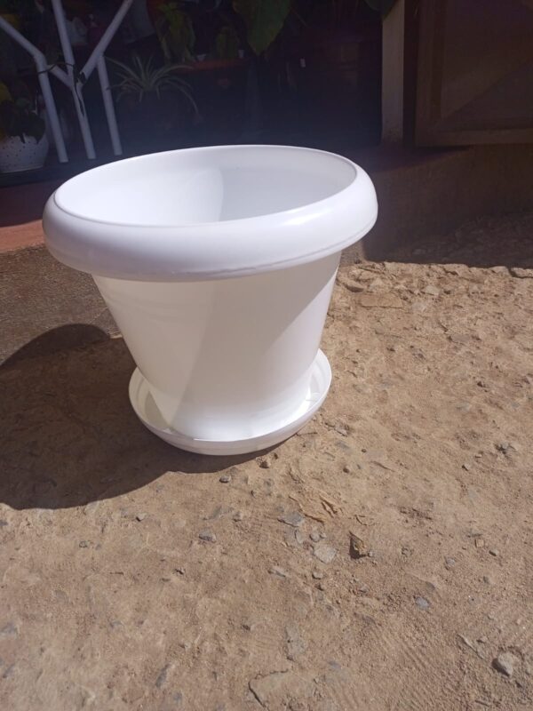 This 14-litre plastic plant pot is perfect for medium-sized plants, offering a sleek design and practical features for both indoor and outdoor use. Each pot includes a matching drainage plate to help manage water runoff and protect your floors or surfaces. Crafted from high-quality plastic, it's lightweight yet sturdy, and comes in elegant color options—white, brown, and maroon—to complement any home, balcony, or garden space. Key Features: 14-litre capacity, ideal for medium-sized plants Comes with a drainage plate to prevent overwatering Durable, easy-to-clean plastic Available in White, Brown, and Maroon Suitable for both live and artificial plants Dimensions (Approx): Height: 28–30 cm Diameter: 25–27 cm Capacity: 14 Litres Perfect For: Home & balcony gardening Office or reception décor Use with live or faux plants Medium indoor trees, herbs, or flowering plants