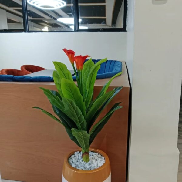 White Fiberglass Planters with Gold Ring – Sleek Elegance for Modern Spaces - Image 4