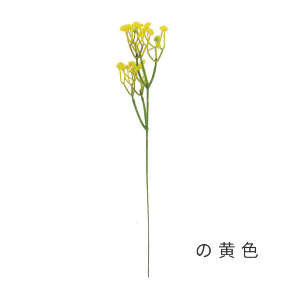 baby breath