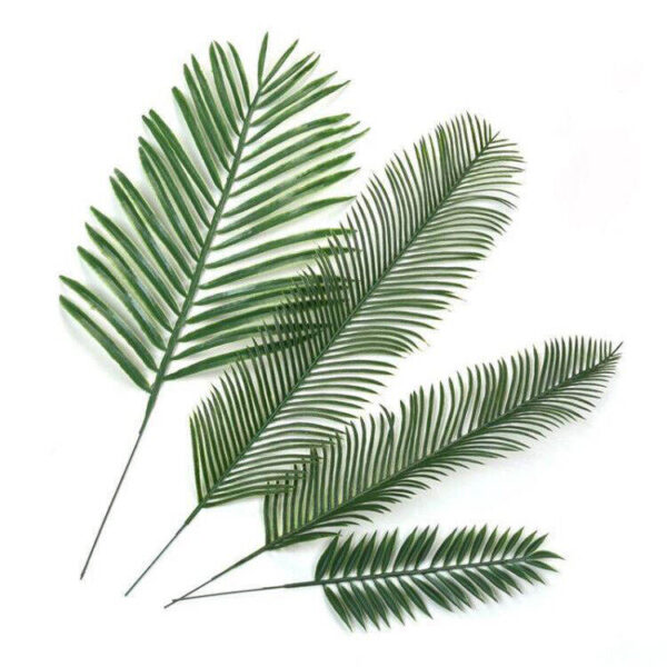 Single Palm Leaves – Tropical Flair for Home, Events & DIY Décor - Image 6