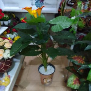 Artificial Calla Lily Plant – White or Orange (Plant Only) – KSh 3,800