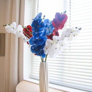 Butterfly Orchid Flower – Elegant Blooms for Sophisticated Décor
