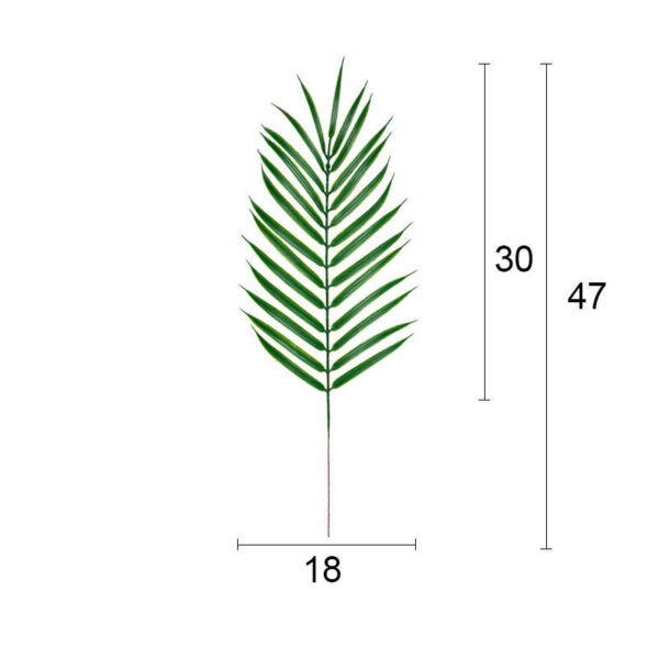 Single Palm Leaves – Tropical Flair for Home, Events & DIY Décor - Image 9