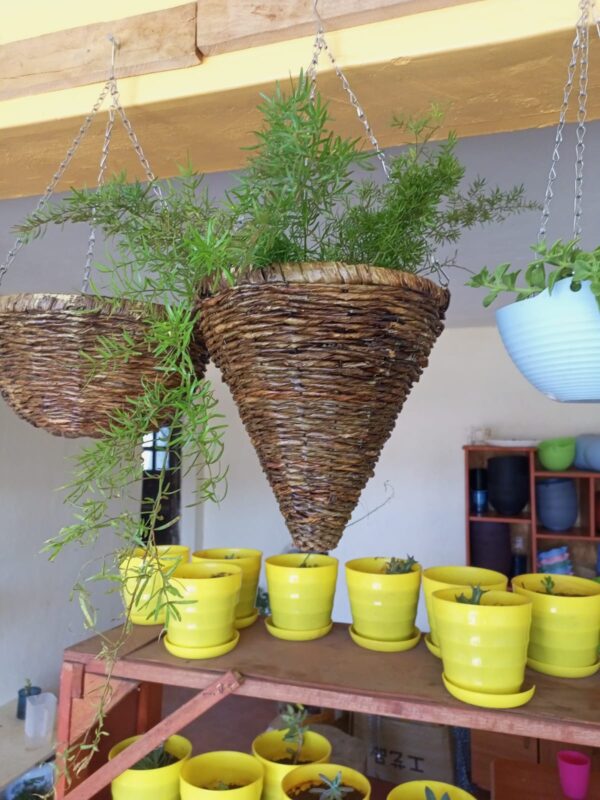 Rattan Hanging Basket