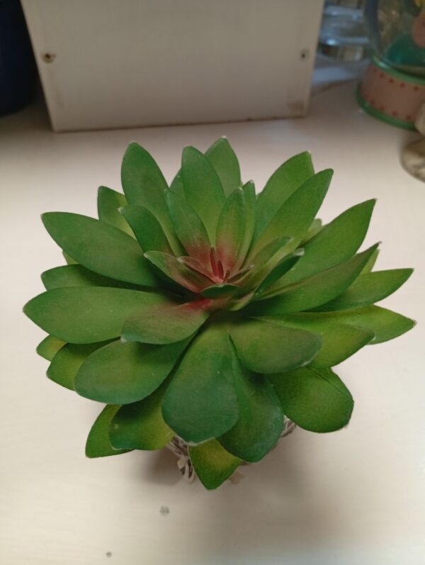 Glass Vase with succulent plant– Only KSh 800 | Elegant Indoor Décor - Image 3