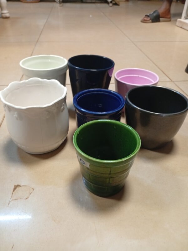 Succulent Plant Vase – Ksh 400 Affordable | Low Maintenance | Perfect Gift - Image 3