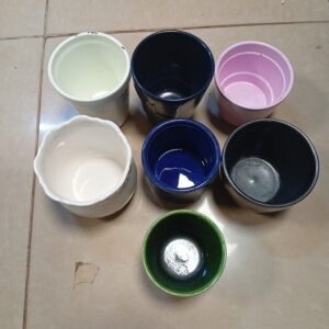 Succulent Plant Vase – Ksh 400 Affordable | Low Maintenance | Perfect Gift