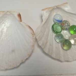 Decor Queen Scallop – Elegant Wall & Table Décor | Ksh 100 Only