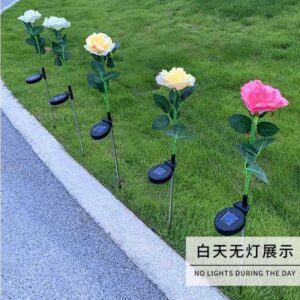 Single Stem Solar Roses