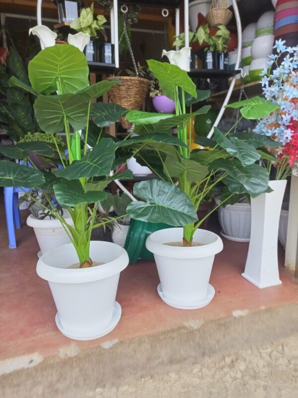 20-Litre Plastic Plant Bucket with Drainage Plate – White, Brown, Maroon