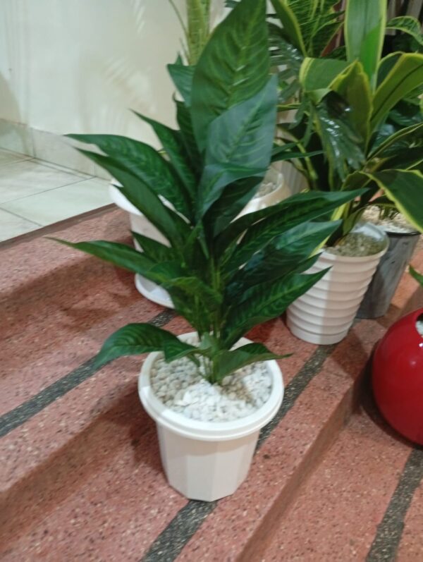 Assorted Faux Potted Plants – Different Types & Shades - Image 4