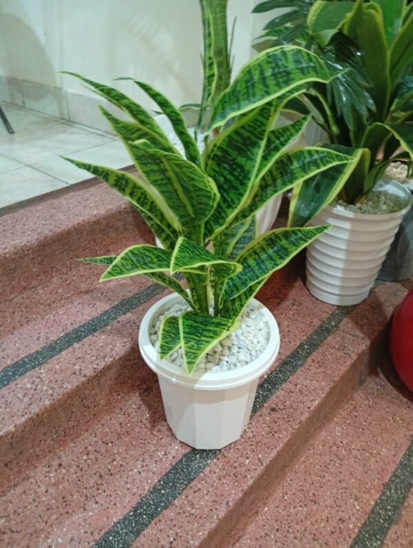 Assorted Faux Potted Plants – Different Types & Shades