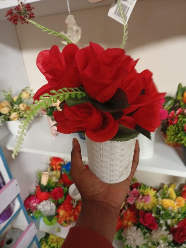 Beautiful Potted Flowers