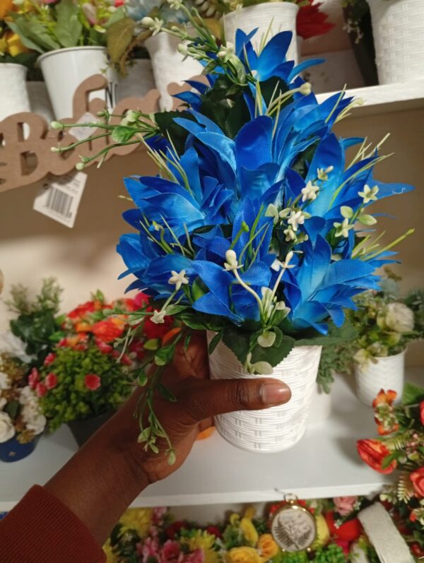 Beautiful Potted Flowers – Available in Different Colours - Image 5