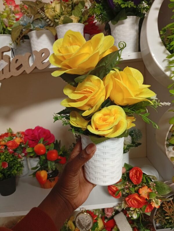 Beautiful Potted Flowers – Available in Different Colours - Image 3