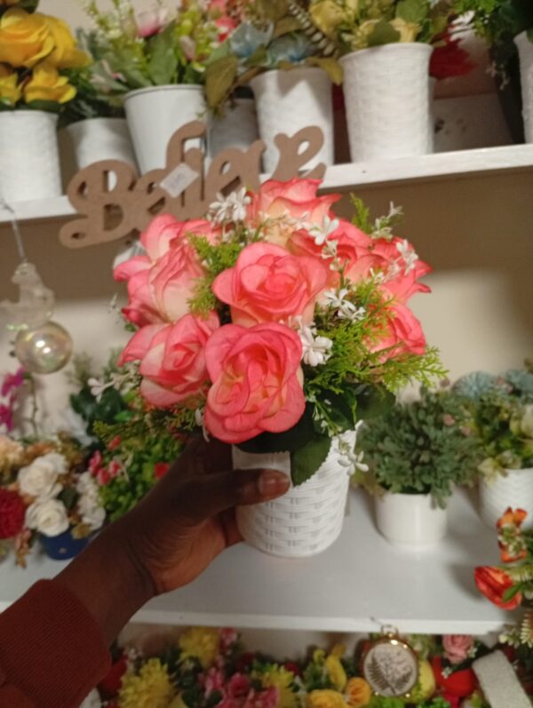 Beautiful Potted Flowers – Available in Different Colours - Image 4