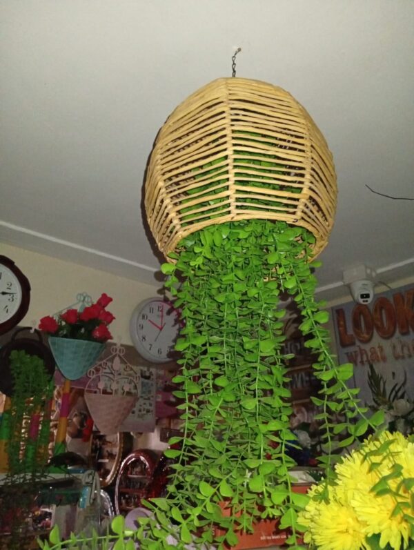 Round Hanging Rattan Lampshades for Artificial Plants – Customised to Your Style & Budget - Image 9