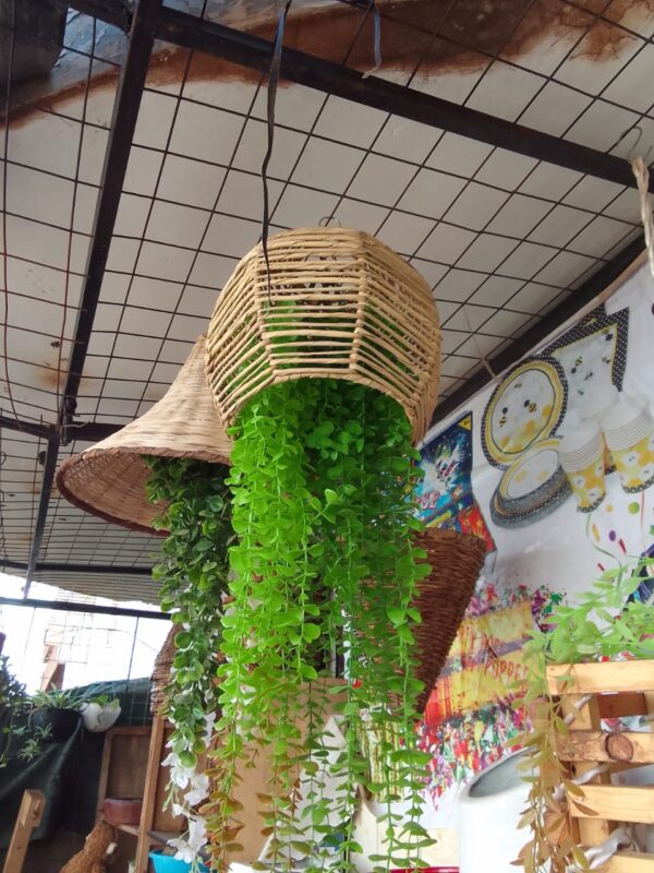 Round Hanging Rattan Lampshades for Artificial Plants – Customised to Your Style & Budget