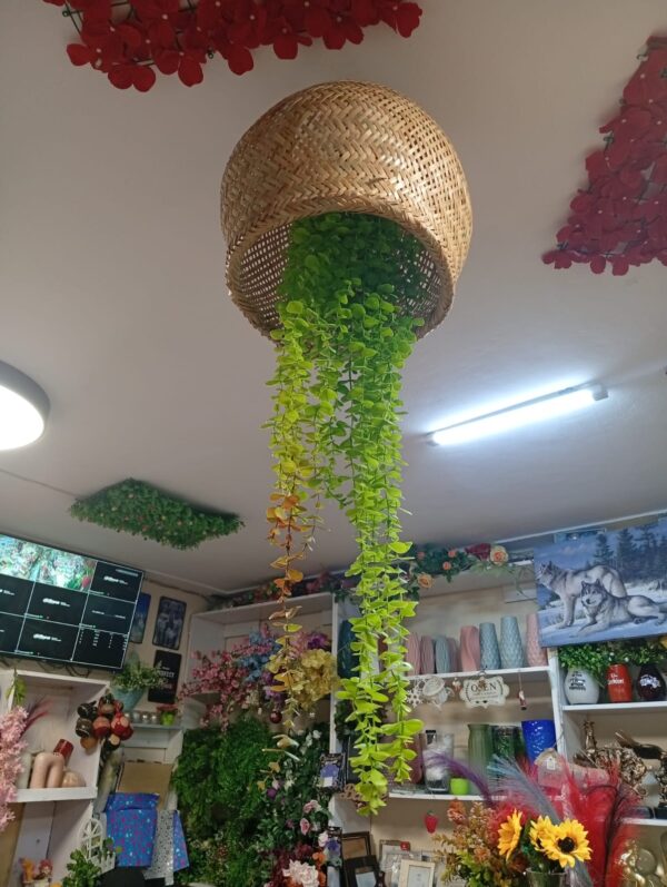 Round Multi-Purpose Woven Charm – Lampshade or Planter Holder! - Image 6