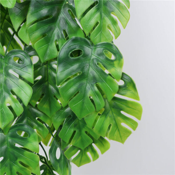 Tropical Garland Frond Plant Hanging leaves - Image 4