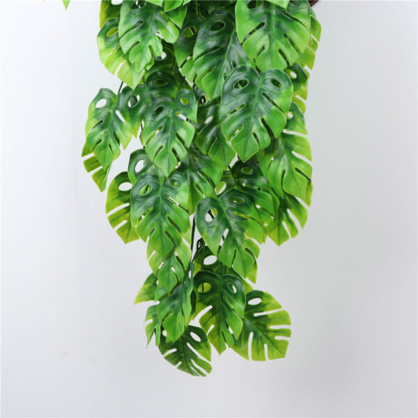 Tropical Garland Frond Plant Hanging leaves - Image 10